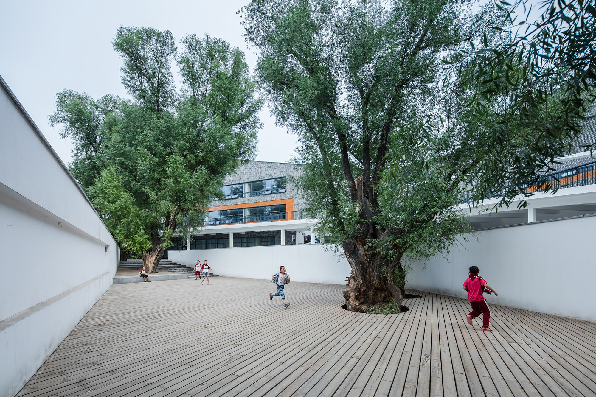 20-preserved-tree-120-Division-School.jpg