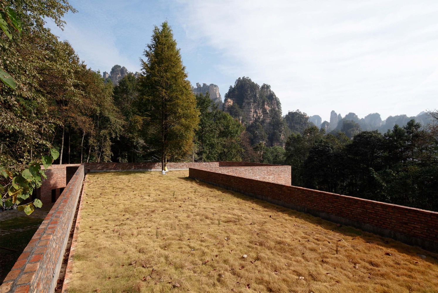 从植草屋顶看风景.jpg